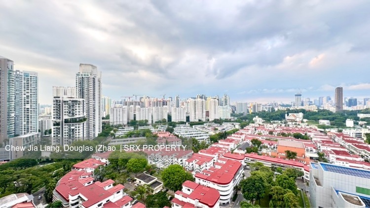 The Regency At Tiong Bahru (D3), Condominium #566437651
